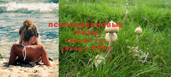 кокаин Горнозаводск